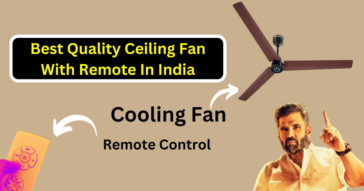 Best Quality Ceiling In India